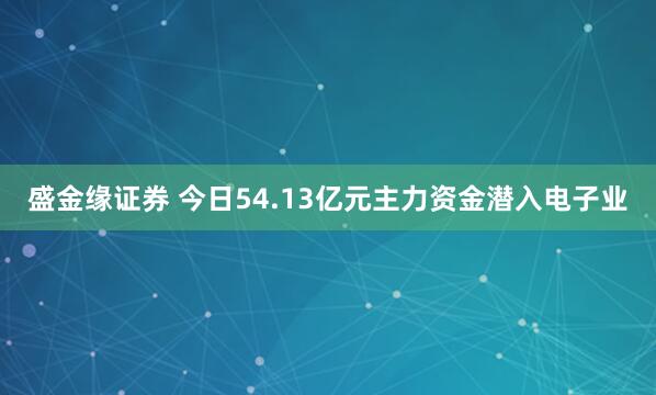 盛金缘证券 今日54.13亿元主力资金潜入电子业